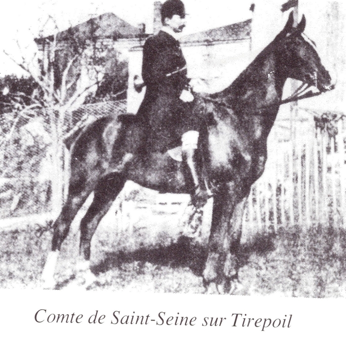 Le comte de Saint-Seine sur Tirepoil - Tiré de l'ouvrage Deux Siècles de Vènerie à travers la France - H. Tremblot de la Croix et B. Tollu (1988)